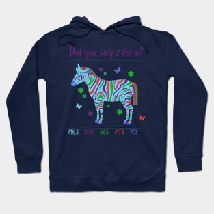 Did you say Zebra? Hoodie